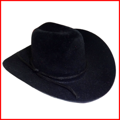 5" Cowboy Hats