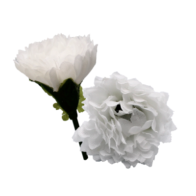 1 inch mum