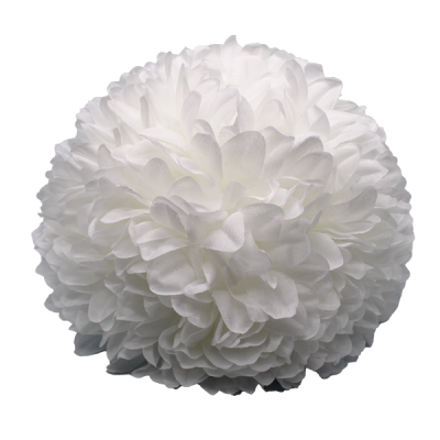 5.5 inch new mum