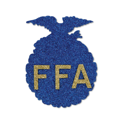 FFA blue and gold glitter foam.