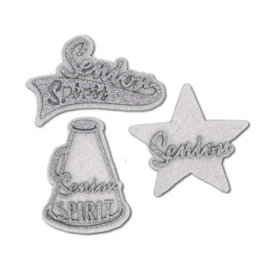 silver senior spirit glitter foam.