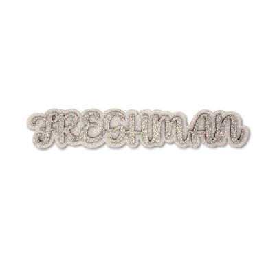 silver freshman glitter foam.
