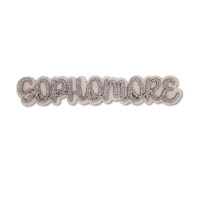 silver sophomore glitter foam.